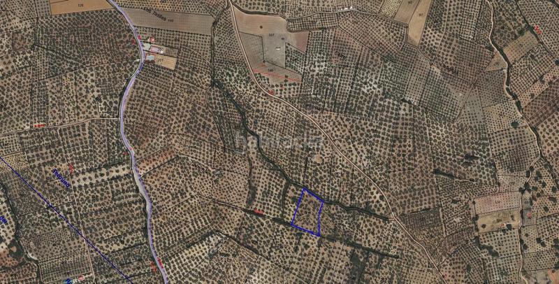 Foto 696c4620-533d-4f0f-b244-fb135a65298d. Terrain résidentiel dans Villanueva del Trabuco