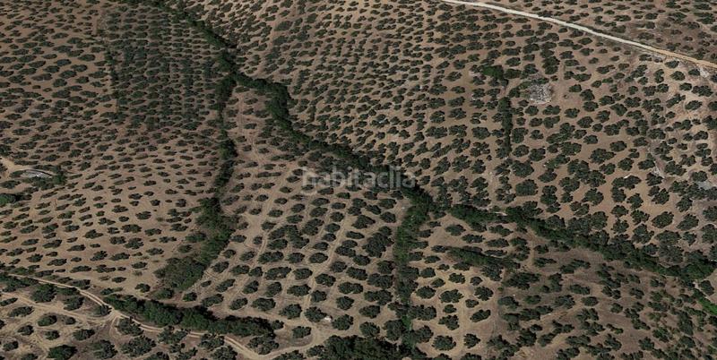 Foto f894cc28-1e10-4ede-8831-82a5d993d458. Terrain résidentiel dans Villanueva del Trabuco