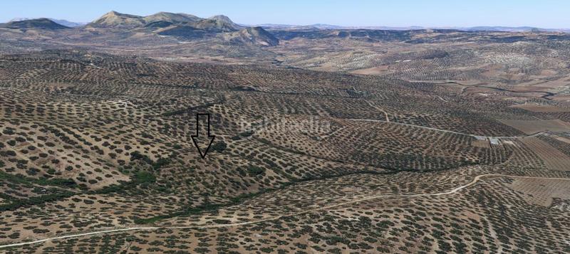 Foto fc58befb-a793-4ca0-affe-fad6672d0ba2. Terrain résidentiel dans Villanueva del Trabuco