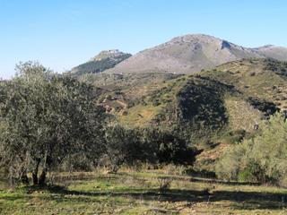 Finca rústica  A-7202