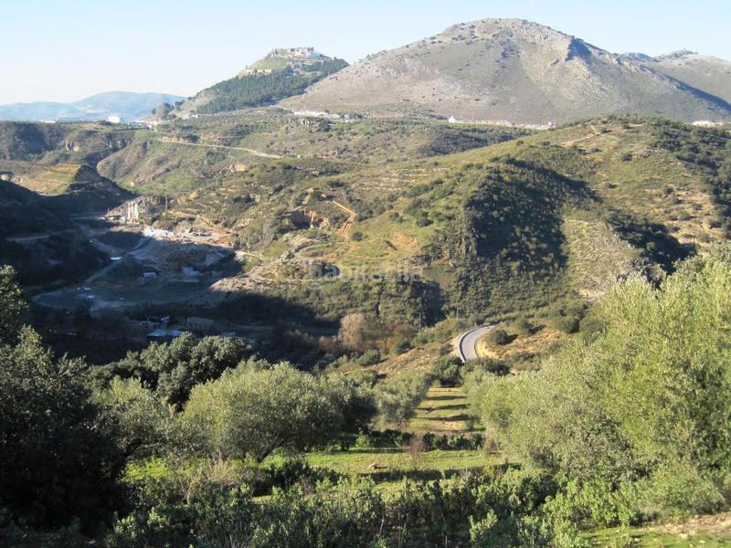 Foto 80e15e10-ad95-4413-a74d-ee620da36220. Finca rústica a Archidona