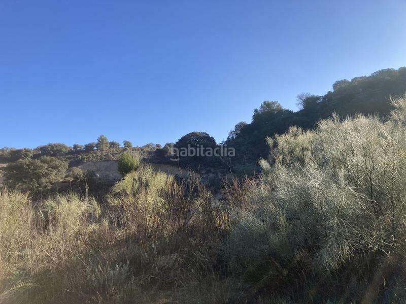 Foto 6a9976f9-04c2-42cf-8ddb-6a2972ed12ed. Finca rústica en Archidona