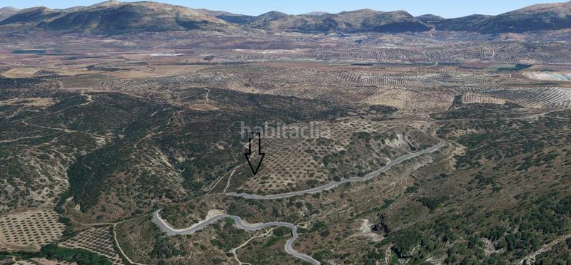Foto 9ab81643-64d4-457d-9a40-1cd91271fb09. Finca rústica en Archidona