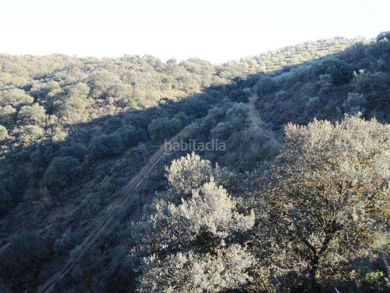 Foto ac8cb5e9-9c58-4a0c-8ef5-bd9f6879ac09. Finca rústica en Archidona