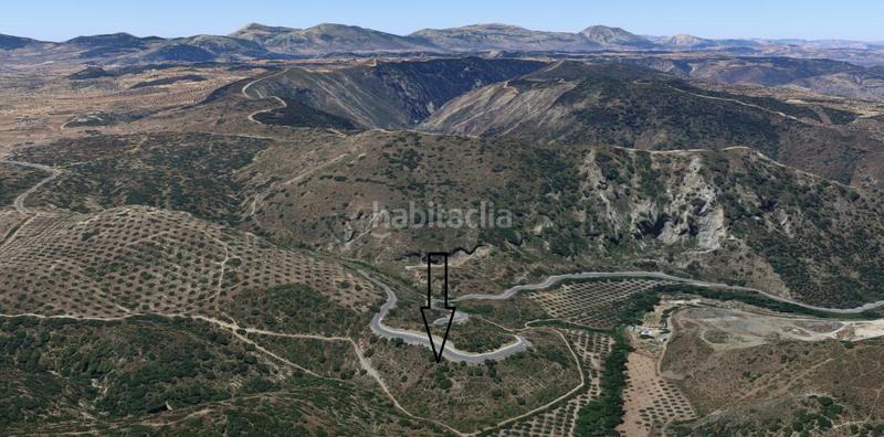 Foto c506a119-170b-4e8c-a05d-ecd4947eb6d0. Finca rústica en Archidona