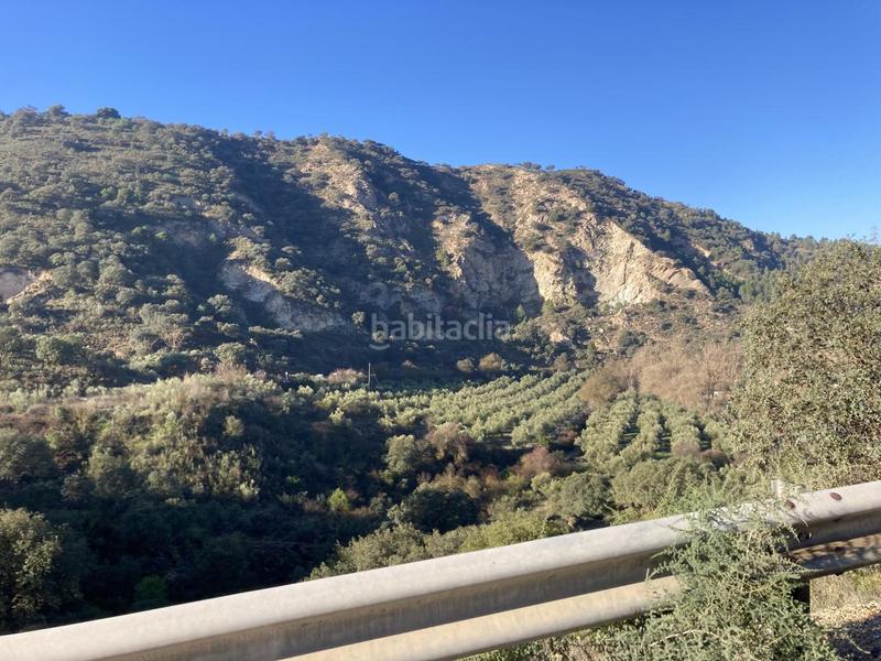 Foto e14a4b1b-45ef-47d4-8497-f096115ed104. Finca rústica en Archidona
