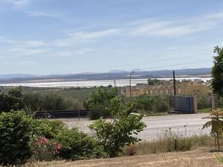 Terreny residencial  Los naranjos