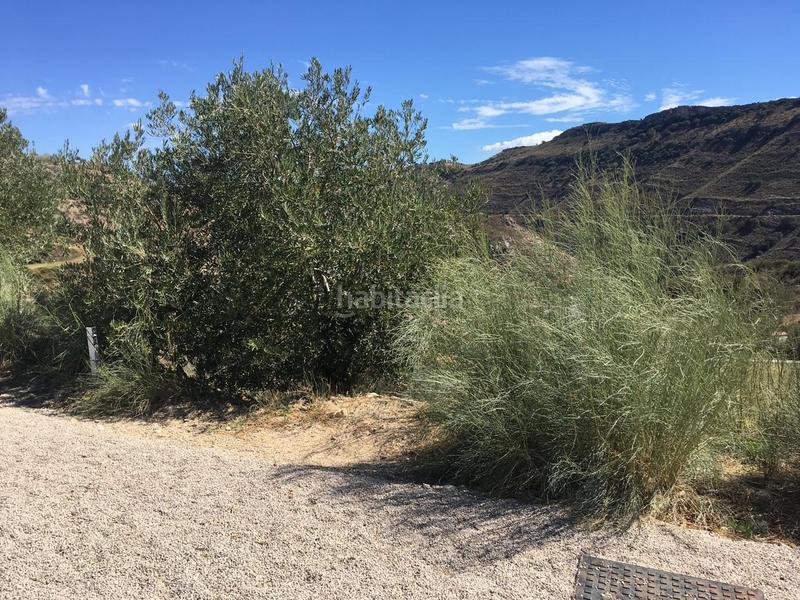 Foto 3fcf3a06-2ce0-4c6f-a620-3c54156cbb61. Residential plot in Bobadilla - Bobadilla Estación - La Joya Antequera