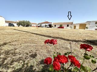 Casa  Alcal. Casa a reformardemoler, con 1.000m2 de patio, en la colonia de s