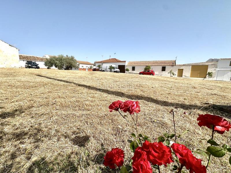 Foto 6e8a5a97-7c87-4fe3-8939-6993c19f5387. Terreny residencial a Bobadilla - Bobadilla Estación - La Joya Antequera