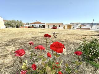 Terreno residencial en Alcalá