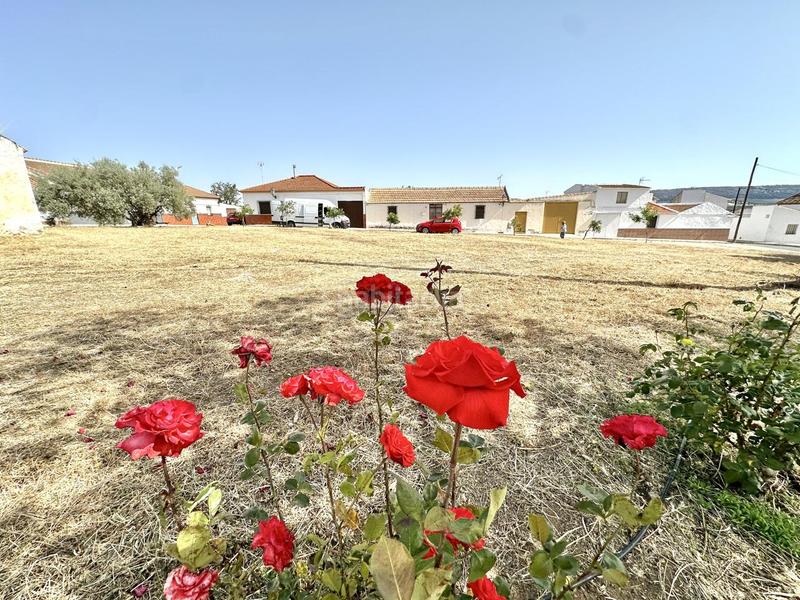 Foto a692eb42-4ac2-420a-88bd-61ae9c216899. Residential plot in Bobadilla - Bobadilla Estación - La Joya Antequera