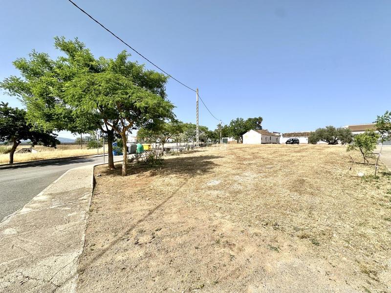 Foto d064dc0e-e31d-4ba0-9d9e-75bf0b79d0ca. Terrain résidentiel dans Bobadilla - Bobadilla Estación - La Joya Antequera