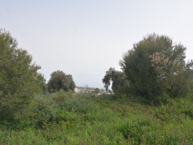 Foto b8030c28-70f3-4151-9276-8983142f2a0d. Terreny residencial a Mijas pueblo Mijas