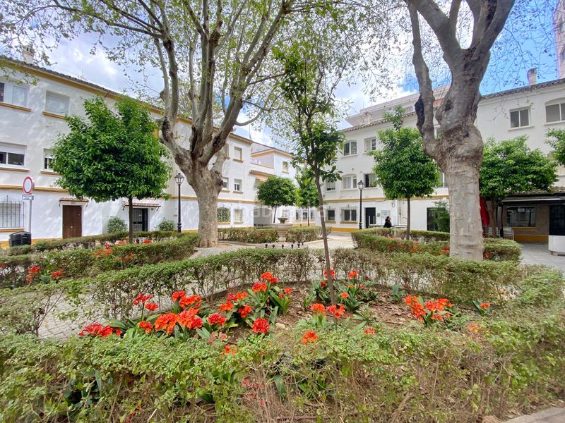 Foto d082ab6e-50ec-4542-8ff5-f92a71faed2d. Pis a Ricardo Soriano Marbella