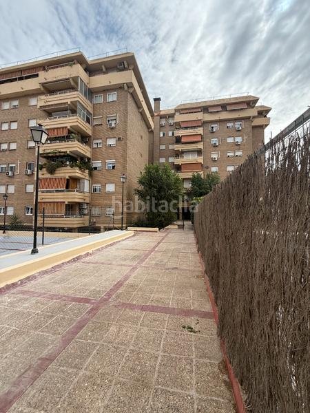 Foto 26fc726b-502a-4fd3-b3bd-c1c5a2a15fa9. Pis a Santa Eufemia Tomares