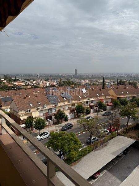 Foto c58e2148-b7ec-41ff-8ce1-43a6cd1786cb. Pis a Santa Eufemia Tomares