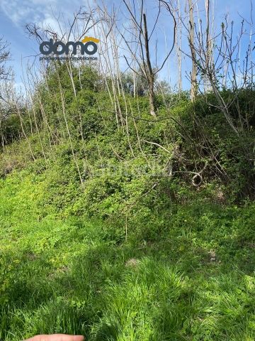 Foto ac2991e5-e80e-4e83-9c06-30363ad866a9. Finca rústica a Lanjarón