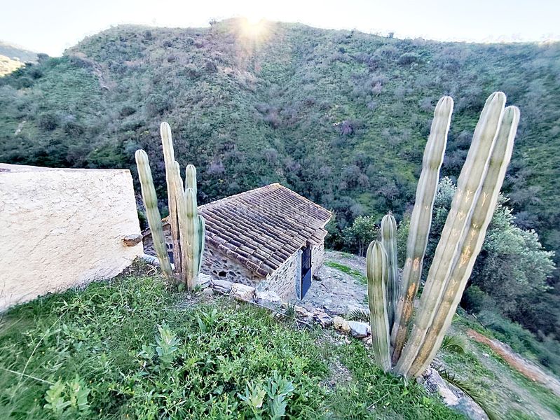 Foto ad861ee3-f718-4065-90f3-e8650959f0c7. Mas dans n/a dans Pizarra