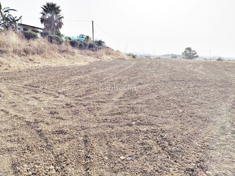 Foto 091a32bb-1a7e-4947-b442-205a8b8d2577. Finca rústica a estación de Cártama Cártama