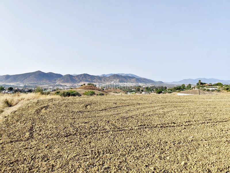 Foto 28c6c8f5-3212-4b65-bdb5-c7bdbe2db982. Finca rústica a estación de Cártama Cártama