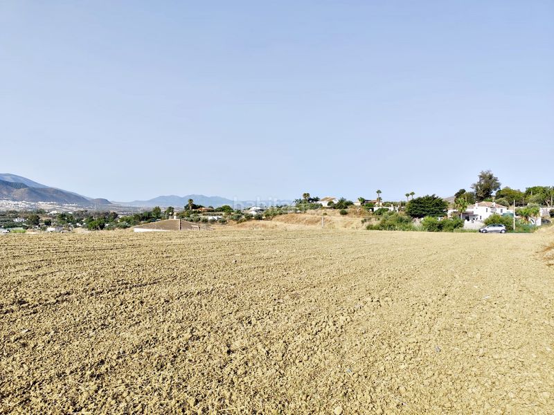 Foto ad749974-8d03-4280-a45d-9798ca825a7e. Finca rústica a estación de Cártama Cártama