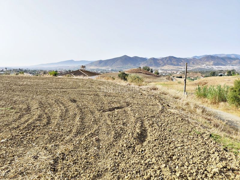Foto d6cafab9-ec18-4bc8-a1c5-6365bb7d238e. Finca rústica a estación de Cártama Cártama
