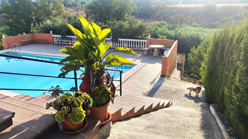 Foto 8bf18769-d55f-4774-82e8-55844130295b. Masia amb xemeneia calefacció aparcament piscina a Cártama