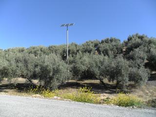 Finca rústica a Moclín. Finca de olivos placas solares, pozo y depósito de agua, riego a