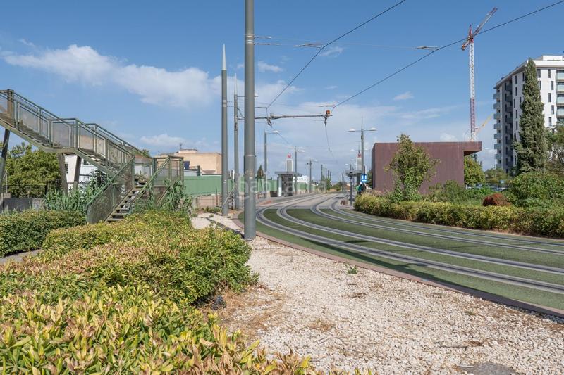 Foto 045e1025-df0a-4f14-994d-42718b0699a3. Pis a Cerrillo de Maracena - Periodistas Granada