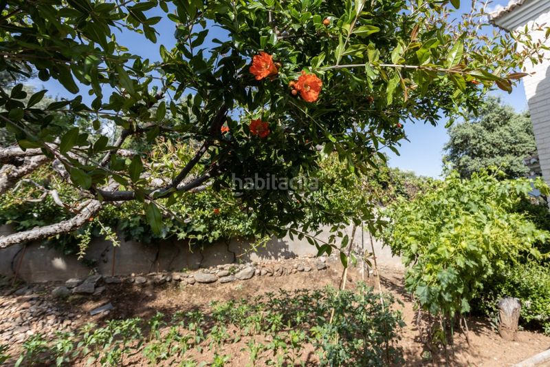 Foto bda05800-e246-4510-9121-fa17ab7d3827. Casa amb calefacció aparcament a Dúdar
