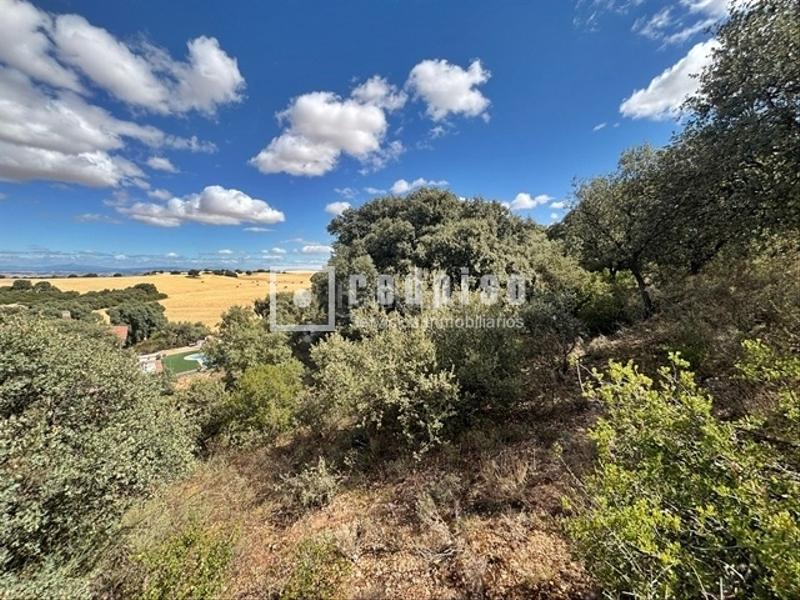 Foto 0c115214-35ca-43f7-b5cf-fd0582660331. Terreno residencial en El Clavín-Valdeluz Guadalajara