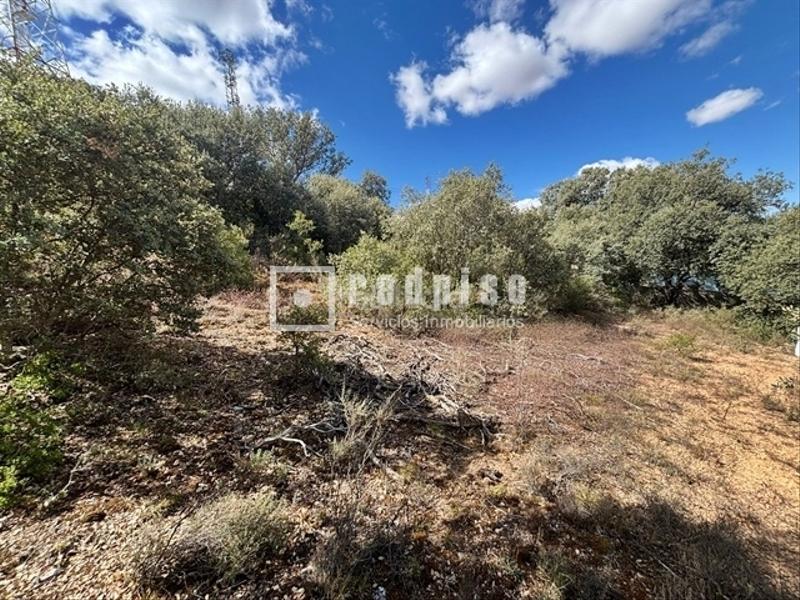 Foto 611a9120-888a-41f9-b36b-1156a0f016e2. Terreno residencial en El Clavín-Valdeluz Guadalajara