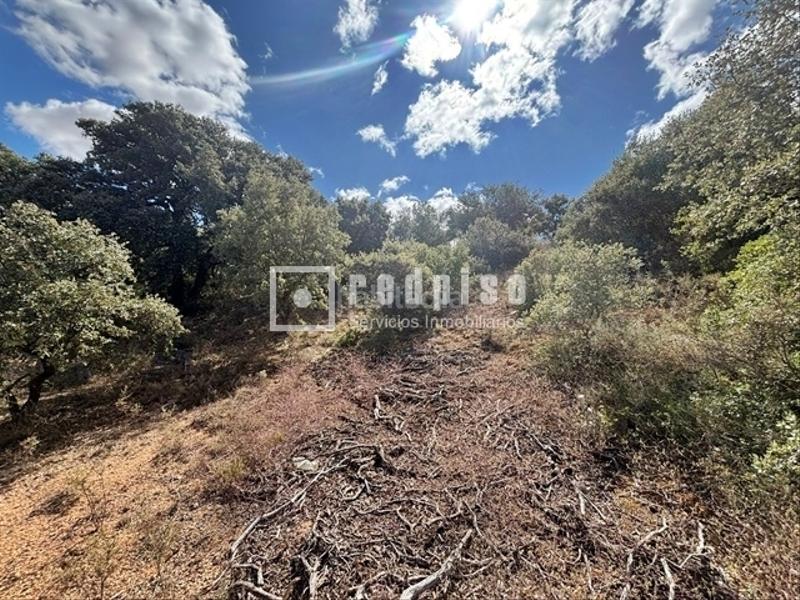 Foto fc89f84b-d580-4779-a57b-de50ecbce505. Terreno residencial en El Clavín-Valdeluz Guadalajara