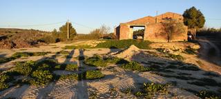 Finca rústica a Plaça dels arbres 23. Parcela de 1800 metros con construcción de 60 metros