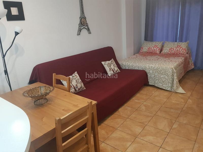 Foto 86d5bd96-5c1c-4bb0-99f4-4113e3c17495. Rent studio in avenida dEl Peñoncillo 11 in El Peñoncillo Torrox