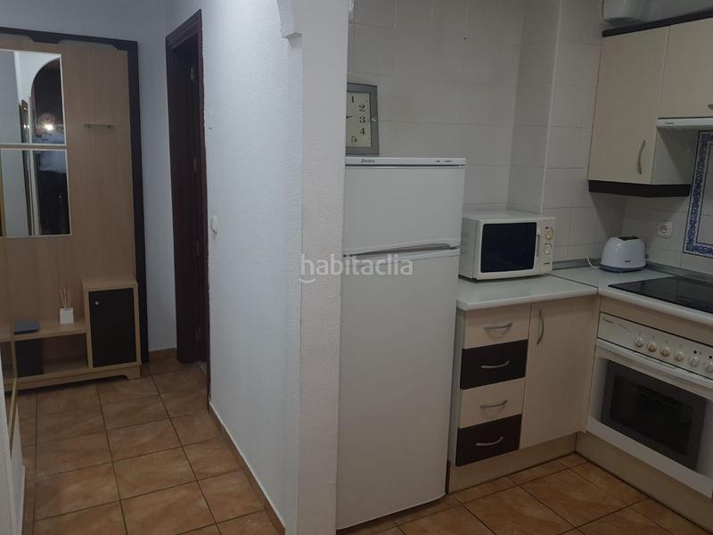Foto c3288f53-cee3-4249-9f48-2e9a82183ee8. Rent studio in avenida dEl Peñoncillo 11 in El Peñoncillo Torrox
