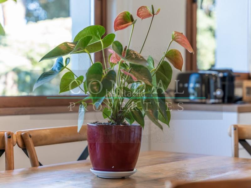 Foto 9dc6270f-fd94-458d-a16f-405d53c12cb6. Maison avec parking piscine dans Vallgorguina