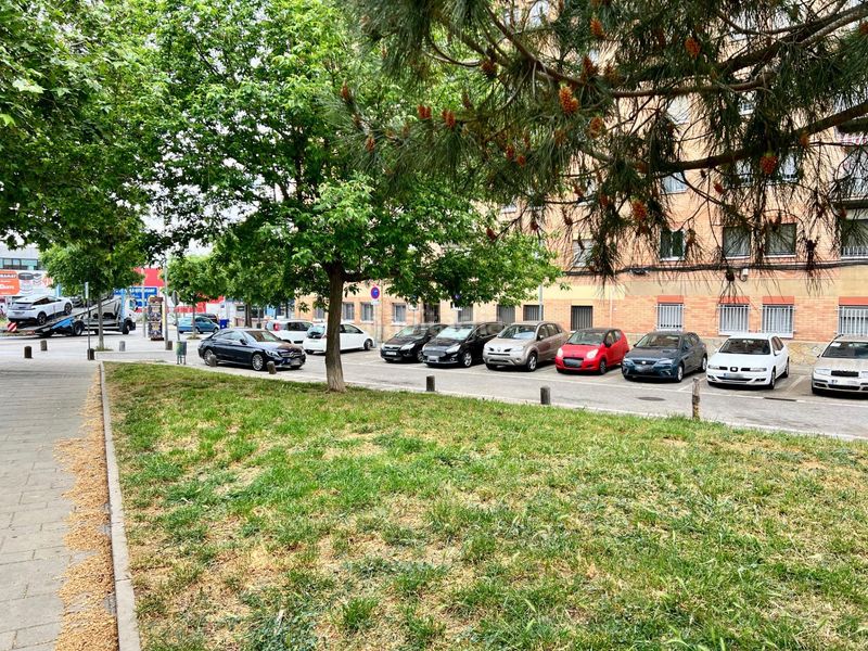 Foto 0cf4e0d4-b788-4eb5-b5b9-fec16f5b41cb. Pis a Can Palet Terrassa