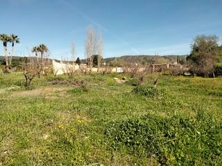 Terrain résidentiel à Partidas Norte. Parcela rústica cercana a ronda