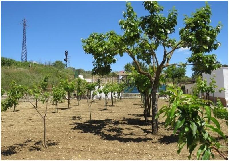 Foto 63c18a63-371a-47fa-aa90-9251c8fce66e. Masia amb piscina a Partidas Norte Ronda