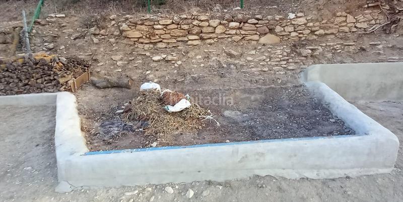 Foto 6ec657b3-138c-461a-bfc7-25de4cc32c5a. Masia amb piscina a Partidas Norte Ronda