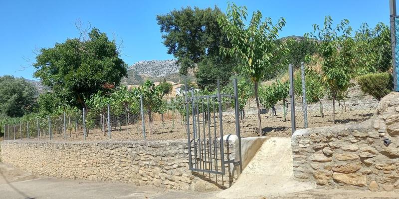 Foto 7f9e411f-95cf-4b55-8936-11663fafb237. Masia amb piscina a Partidas Norte Ronda