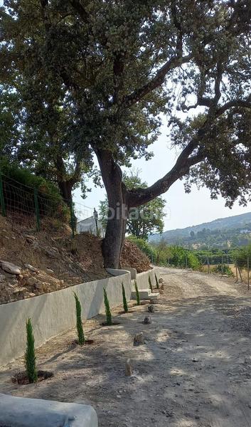 Foto ff4ccfd9-8ee5-4b50-991b-193d5b7dba13. Masia amb piscina a Partidas Norte Ronda