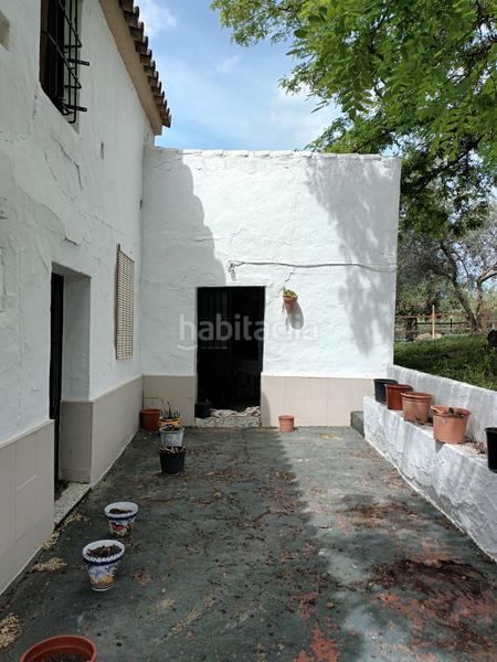 Foto 04a005ec-8fb4-4b7b-aaeb-103182110a2e. Mas dans Partidas Norte Ronda