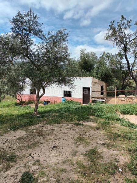 Foto 2920f0bd-f410-40d2-805a-aa3b1f412bb8. Mas dans Partidas Norte Ronda