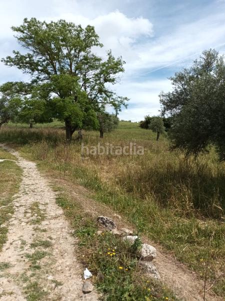 Foto 91af2d5d-27fd-4206-9522-38d9a9414a32. Mas dans Partidas Norte Ronda