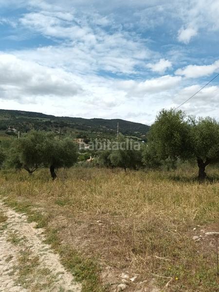 Foto f52a8815-05a1-4a15-8010-9eee9e81d8fc. Mas dans Partidas Norte Ronda