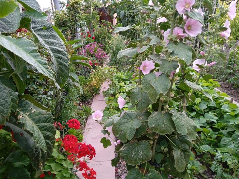 Foto 1840f67c-2b29-498f-beb1-c8a8750295c5. House with heating parking in Cuevas del Becerro