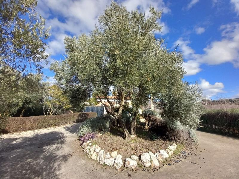 Foto 33befb98-4a81-432c-b154-bab0cfd1f64c. Masia amb piscina a Arriate